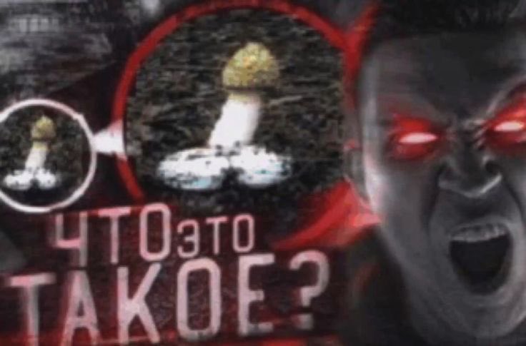 ками(н)🌽 tweet media