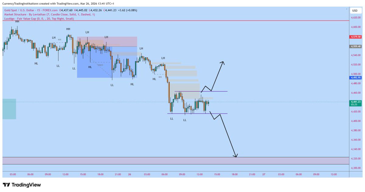 Bɪɢ Cᴜʀʀᴇɴᴄʏ 🦉 tweet media