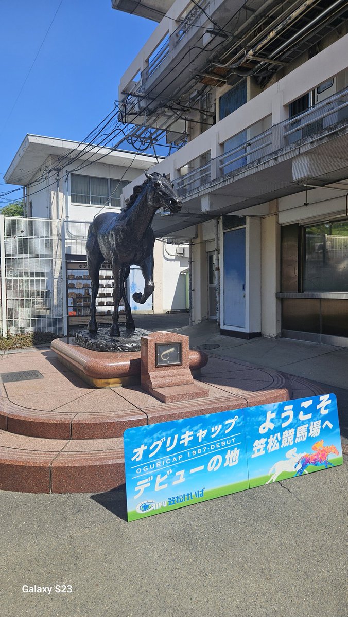 ヴィルキス ヴイツツ🇺🇦 tweet media