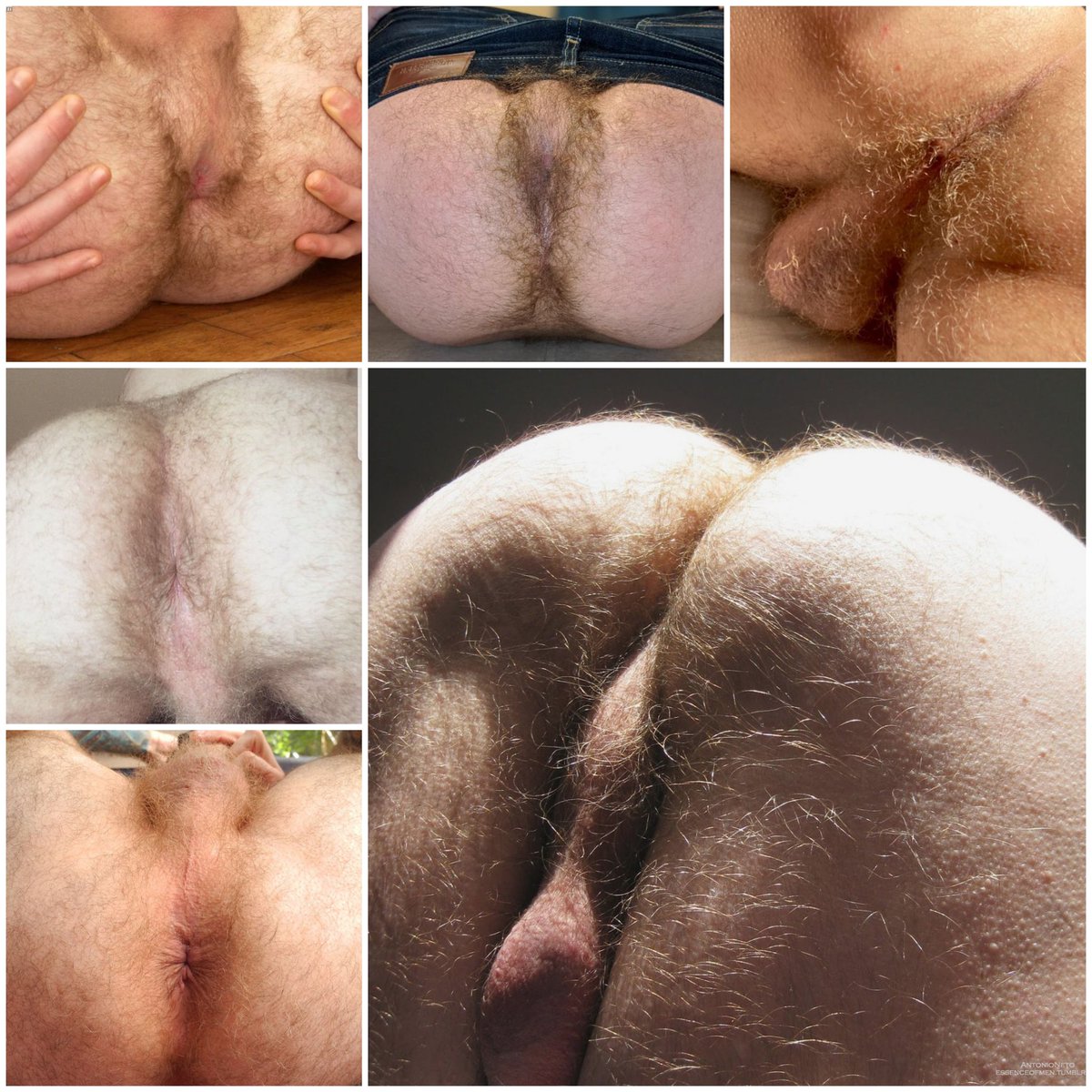 LegalGuy tweet media