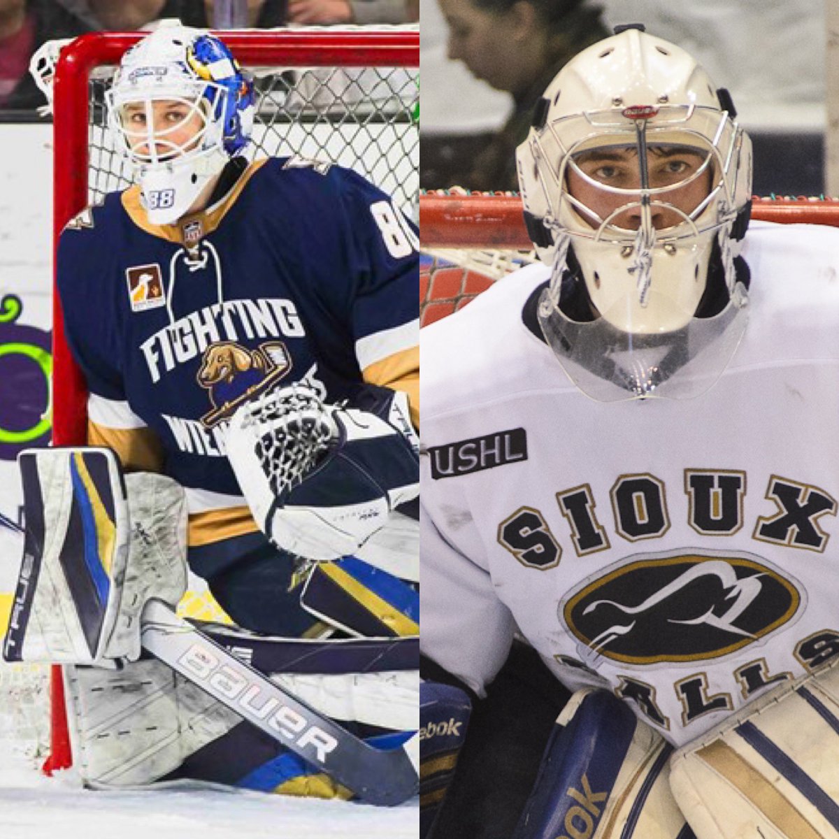 Jonny Lazarus tweet media