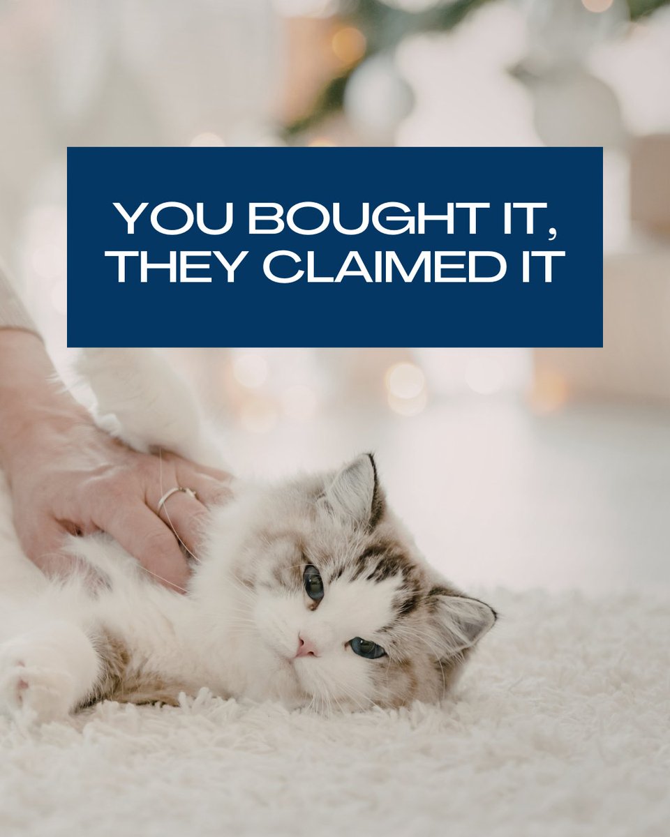 AreaRugGallery tweet media