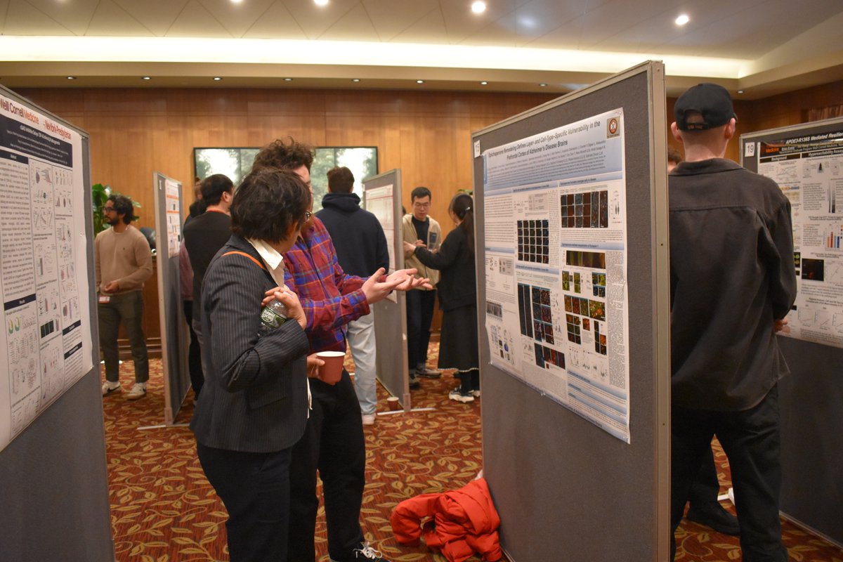 chiosislabmskcc's tweet photo. 🧠 @phdsadikbay presented 'Epichaperome Remodeling Defines Layer- and Cell-Type–Specific Vulnerability in the Prefrontal Cortex of Alzheimer’s Disease Brains' on Tuesday at the Appel Poster Symposium 2026 at Weill Cornell. 
Great job Sadik! 🌟
 #AD #alzheimers #proteomics https://t.co/or7PFzdDU3