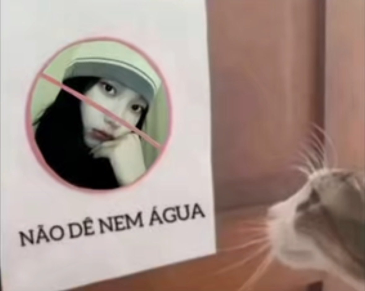 liv agnoletto salvatore da silva tweet media