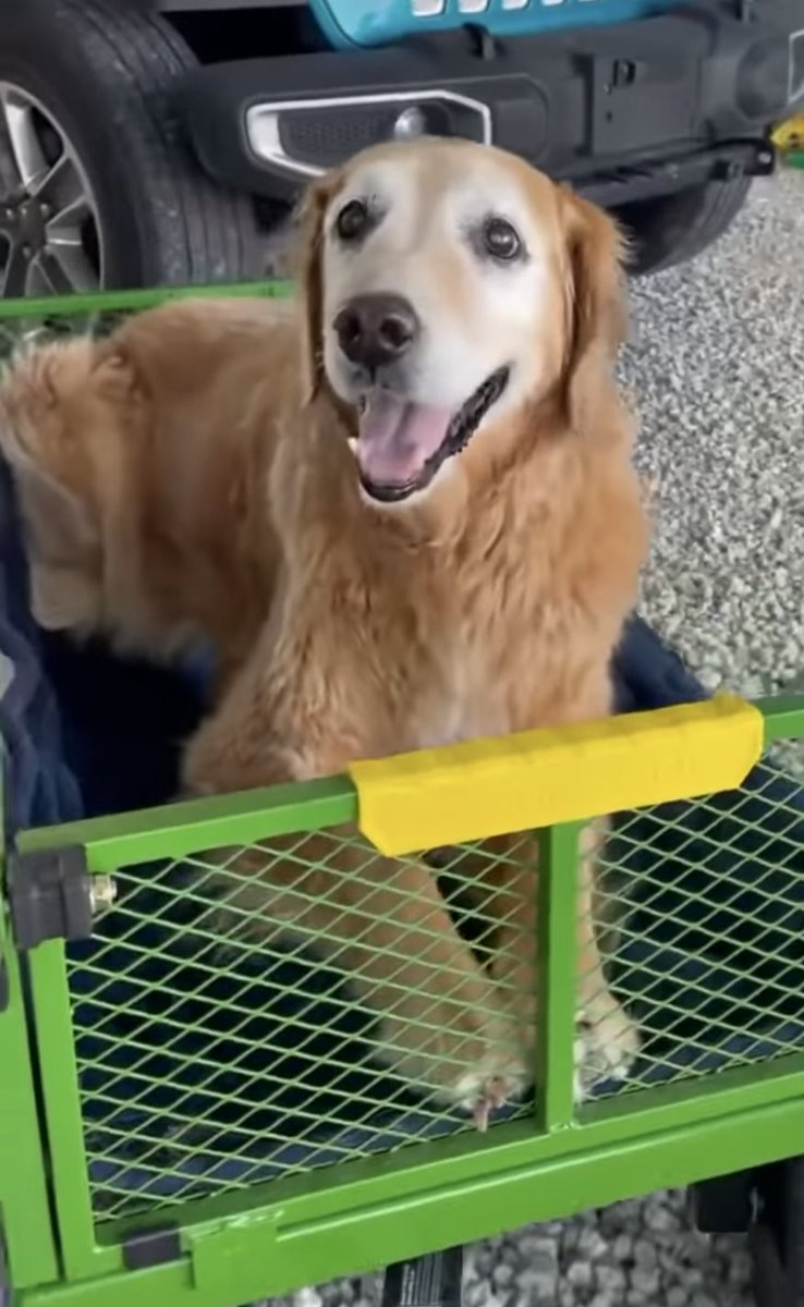 Manchego's Happy Face tweet media