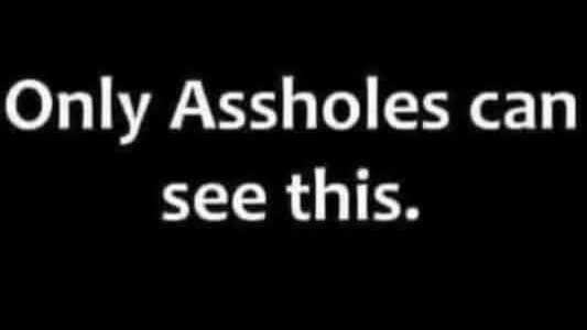 Trumplicans2024.com tweet media