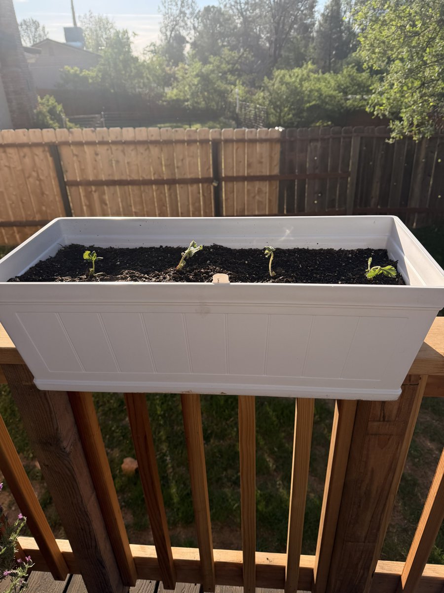 Oatmeal 🥣 tweet media