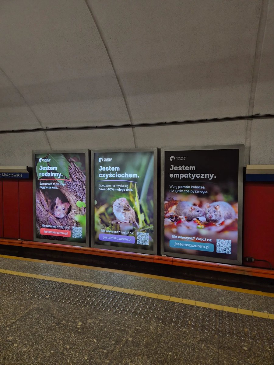 Kraków żąda przynajmniej Bukaresztu tweet media