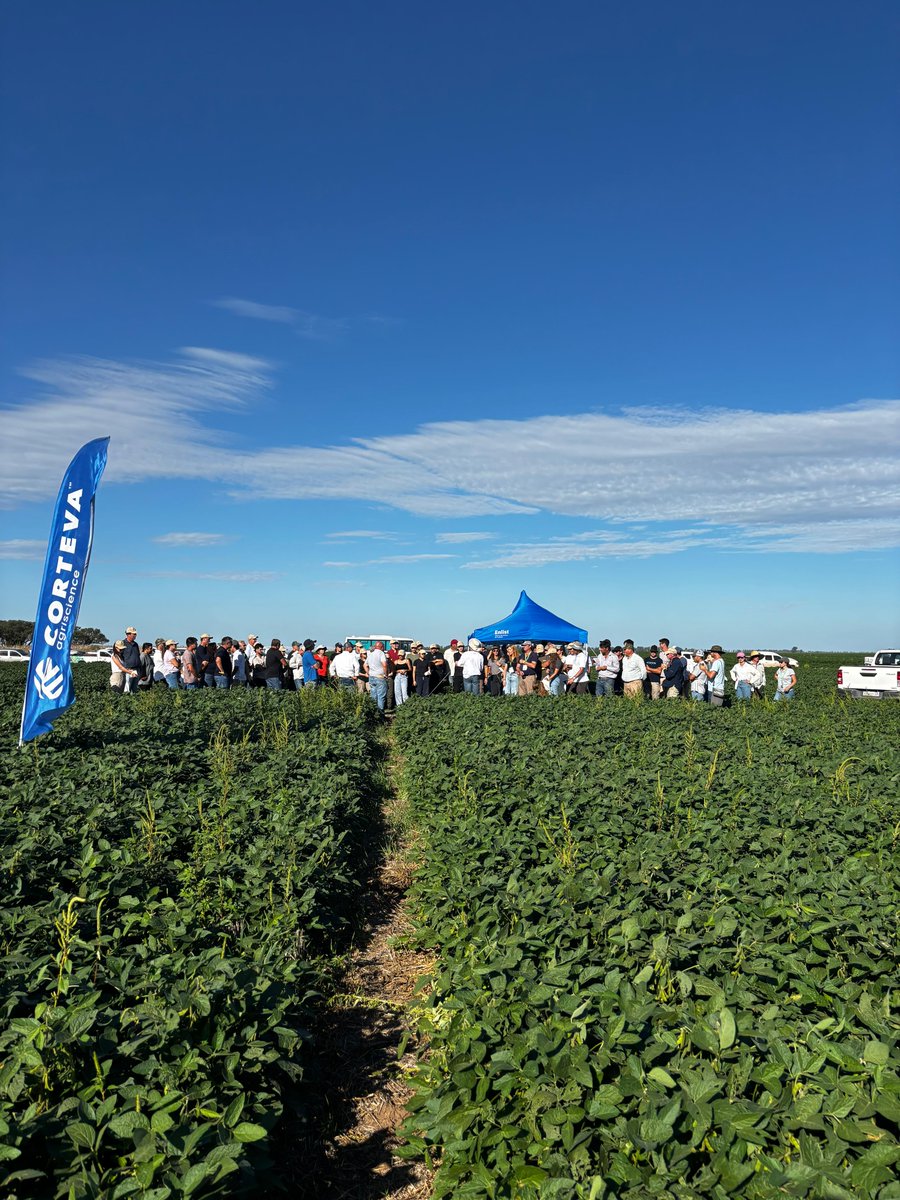 Corteva Argentina tweet media