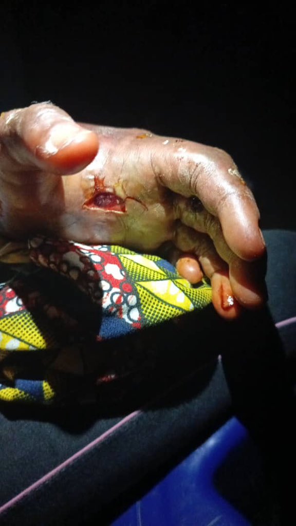 The Nurse’s Pulse 🩺 tweet media