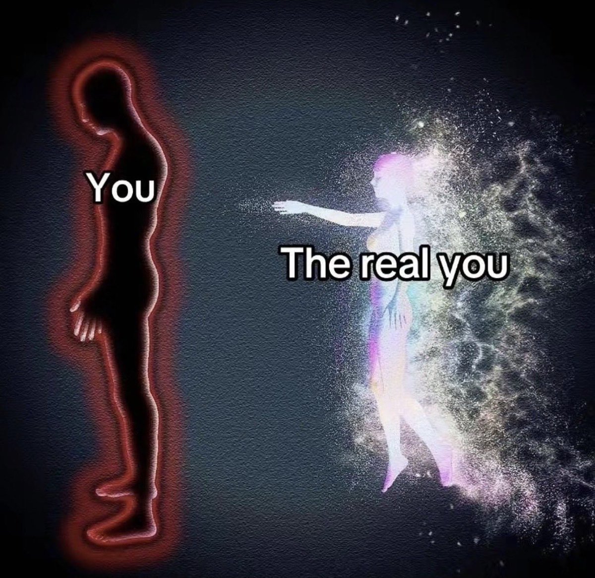 Artemis 𓂀 tweet media