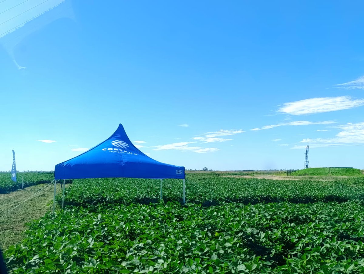 Corteva Argentina tweet media