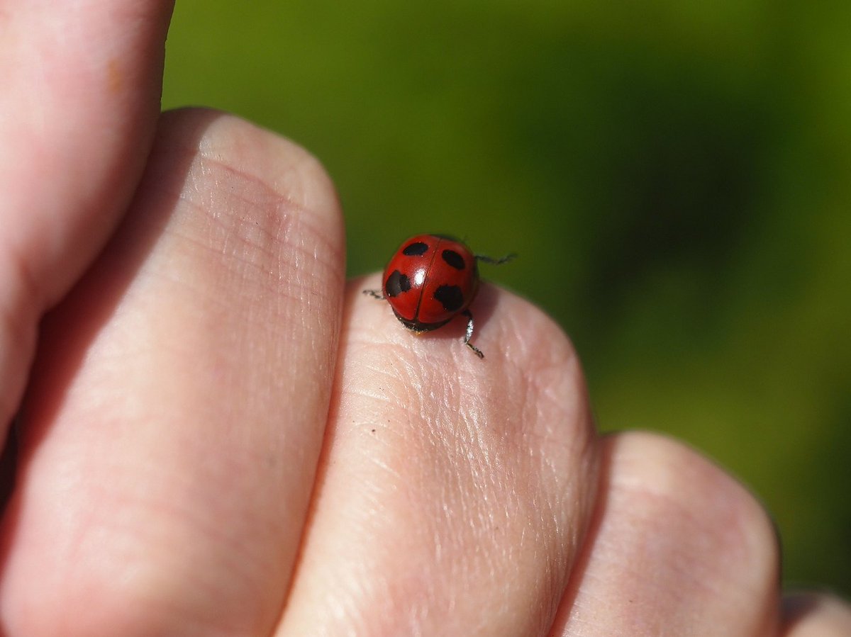 日高トモキチ@絵やら文やら写真やら tweet media