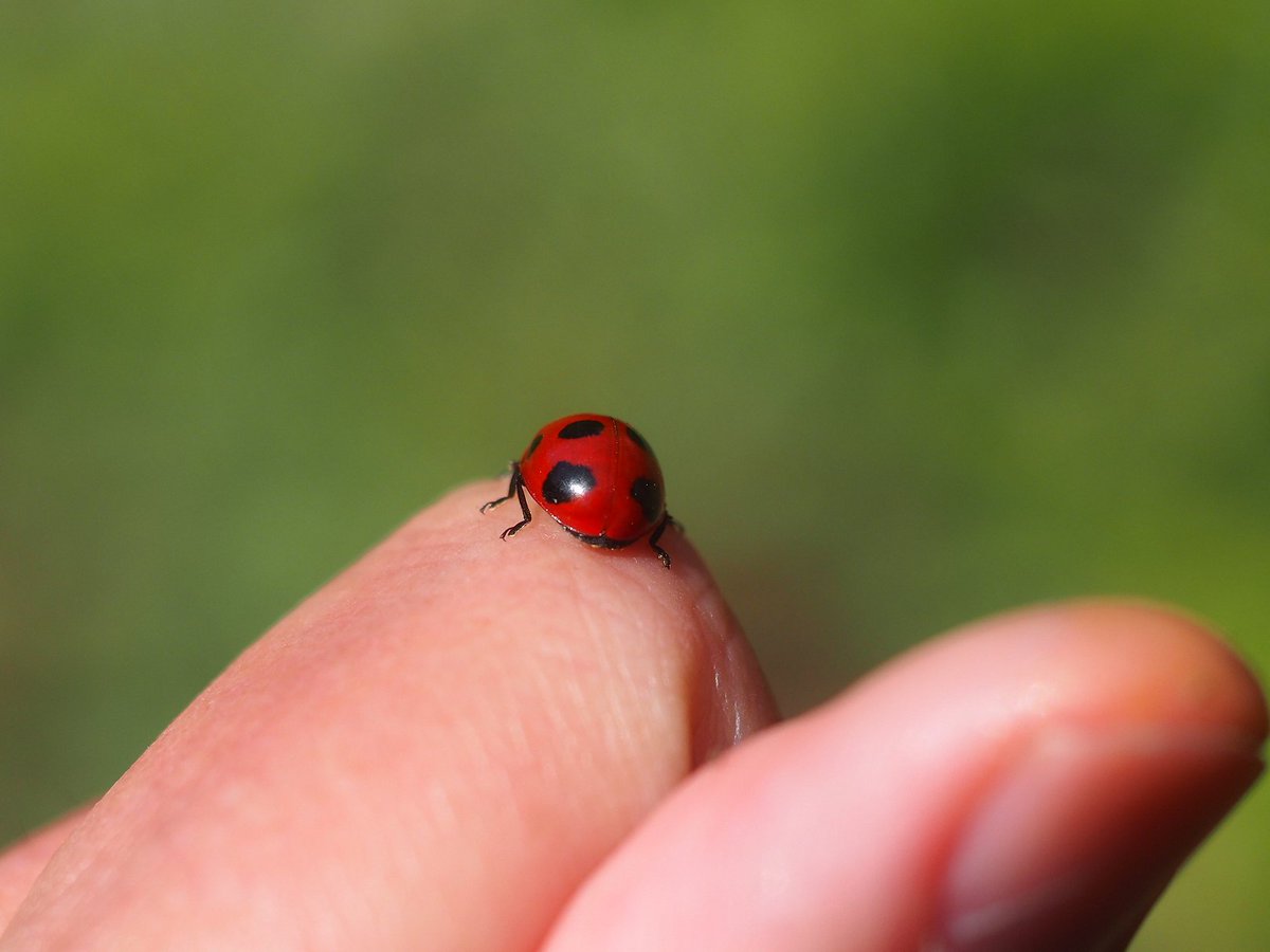 日高トモキチ@絵やら文やら写真やら tweet media