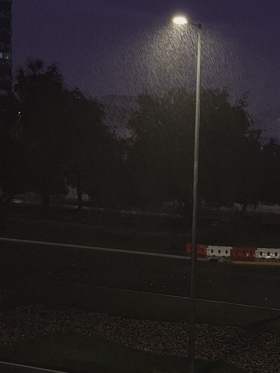 ⁦👩🏽‍✈️⁩✈️🐈 𝒞𝒽𝒶𝒾𝓂𝒶ℯ ℬ. ⭐🇲🇦⭐ tweet media