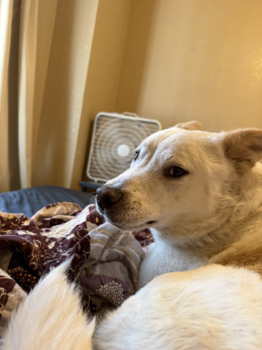 Georgia Mathers ☮️ tweet media