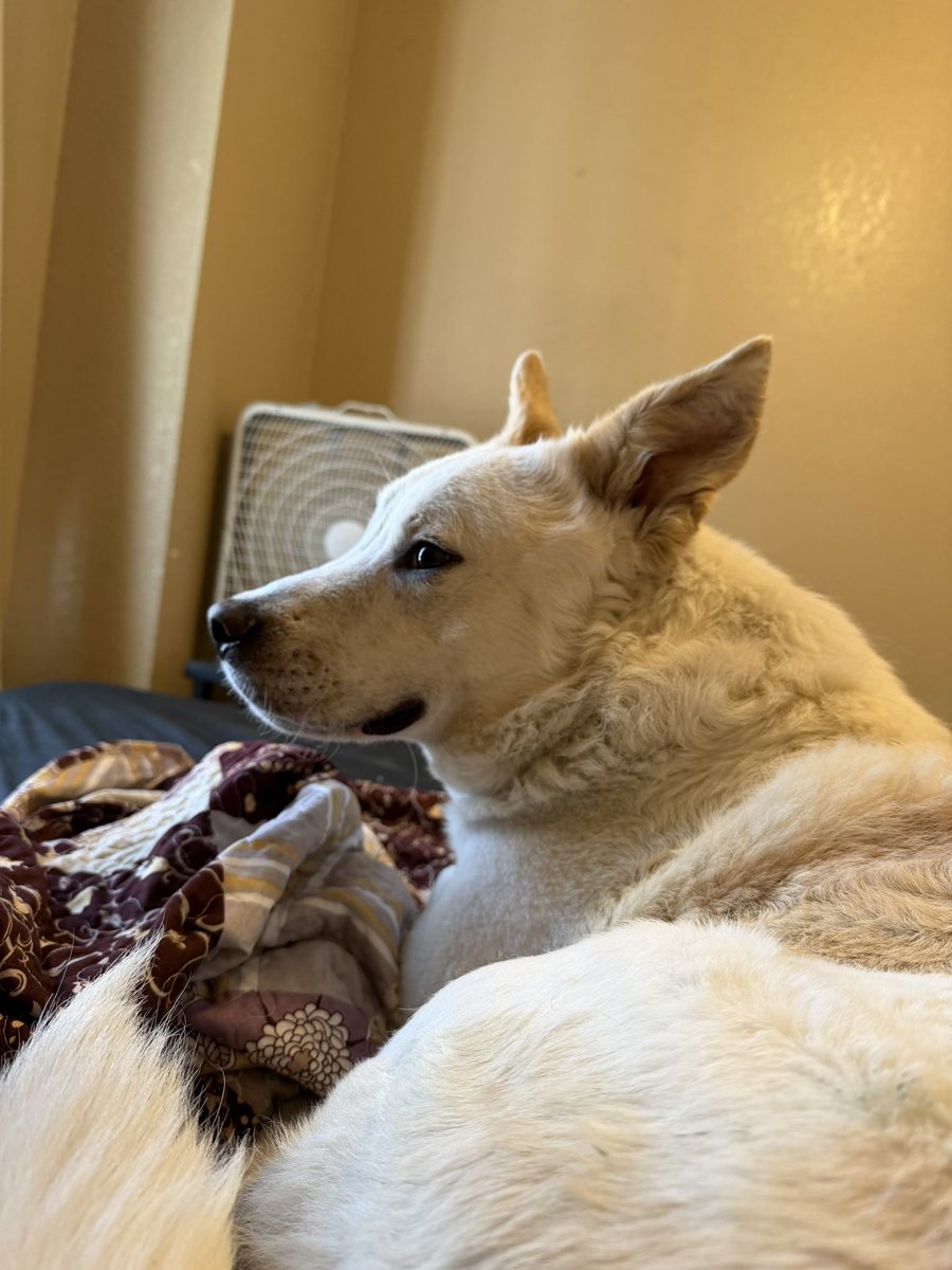 Georgia Mathers ☮️ tweet media