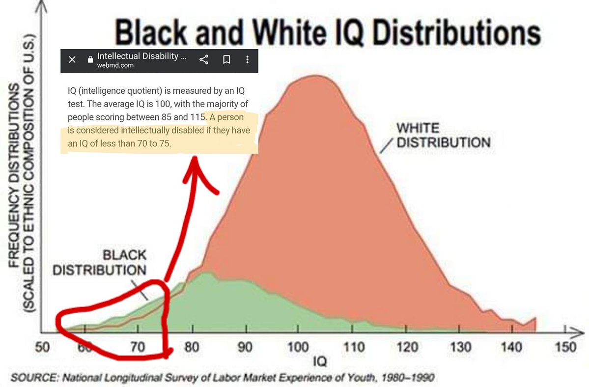 Account Number 18 🇨🇦🧙‍♂️💭 tweet media