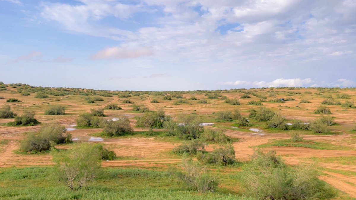 عماد الوهيبي tweet media