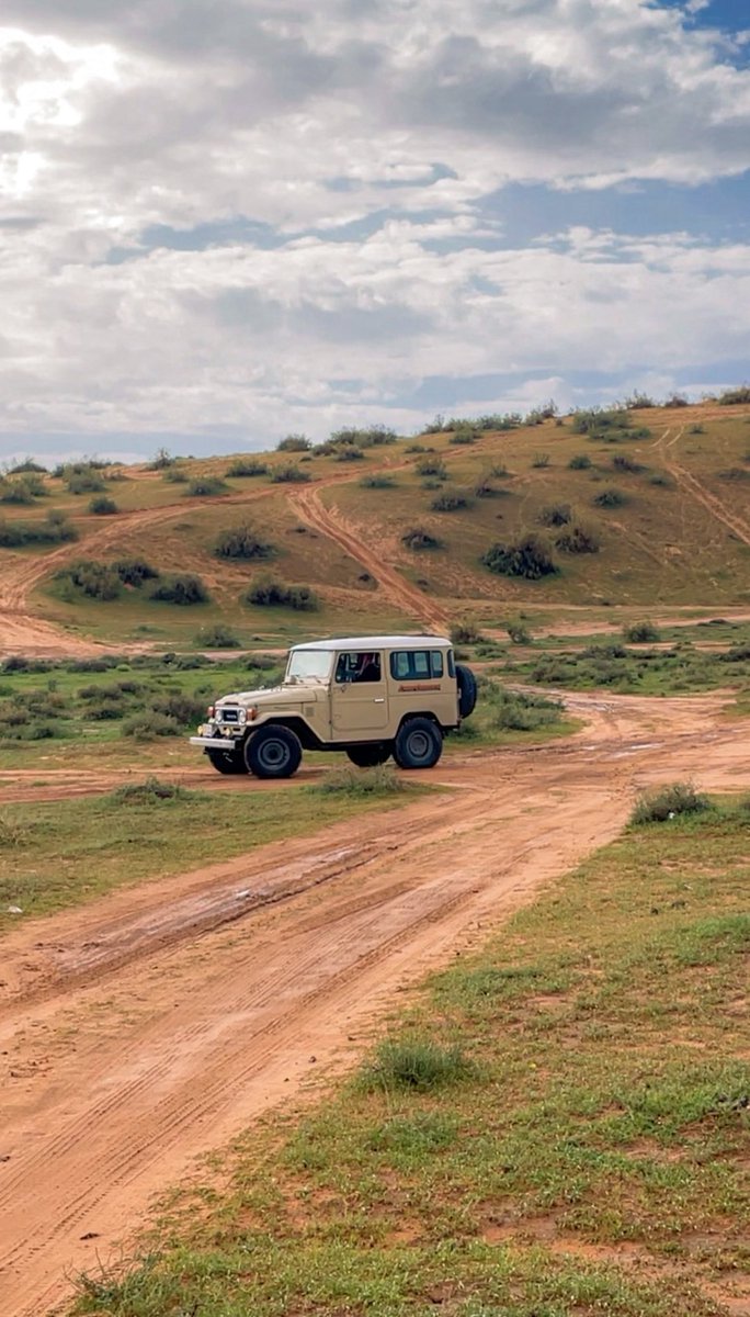 عماد الوهيبي tweet media