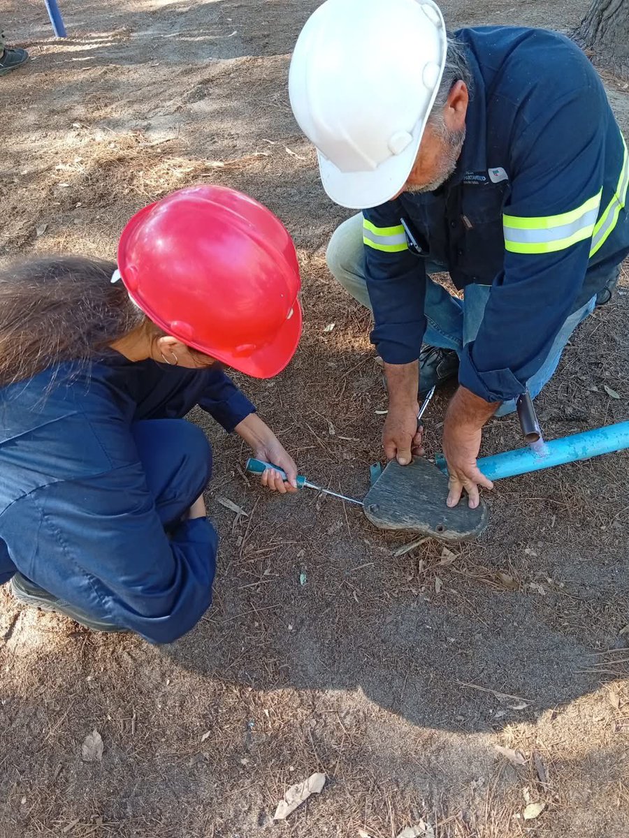 Ricardo Planchón Geymonat tweet media