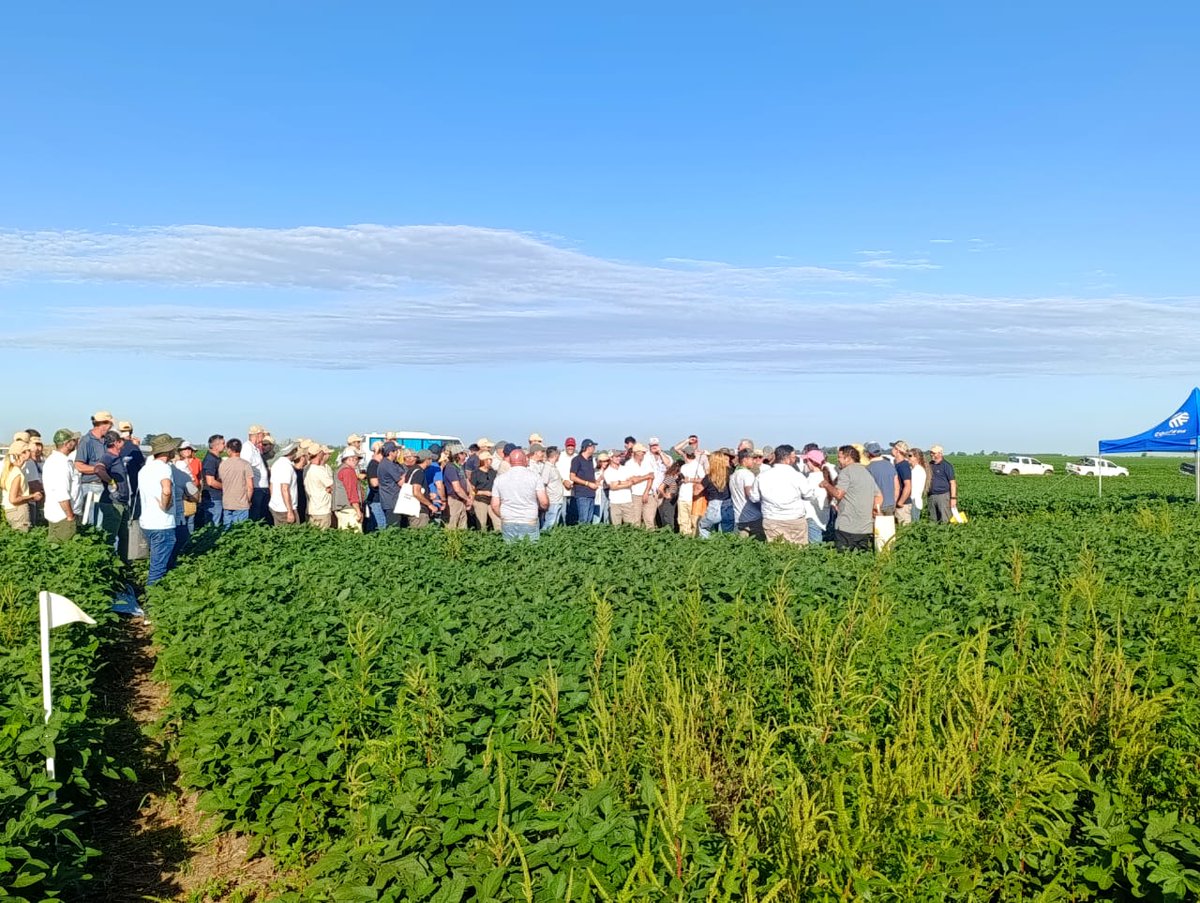 Corteva Argentina tweet media