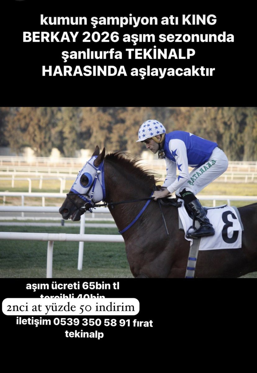 FIRAT Tekinalp HARASI tweet media