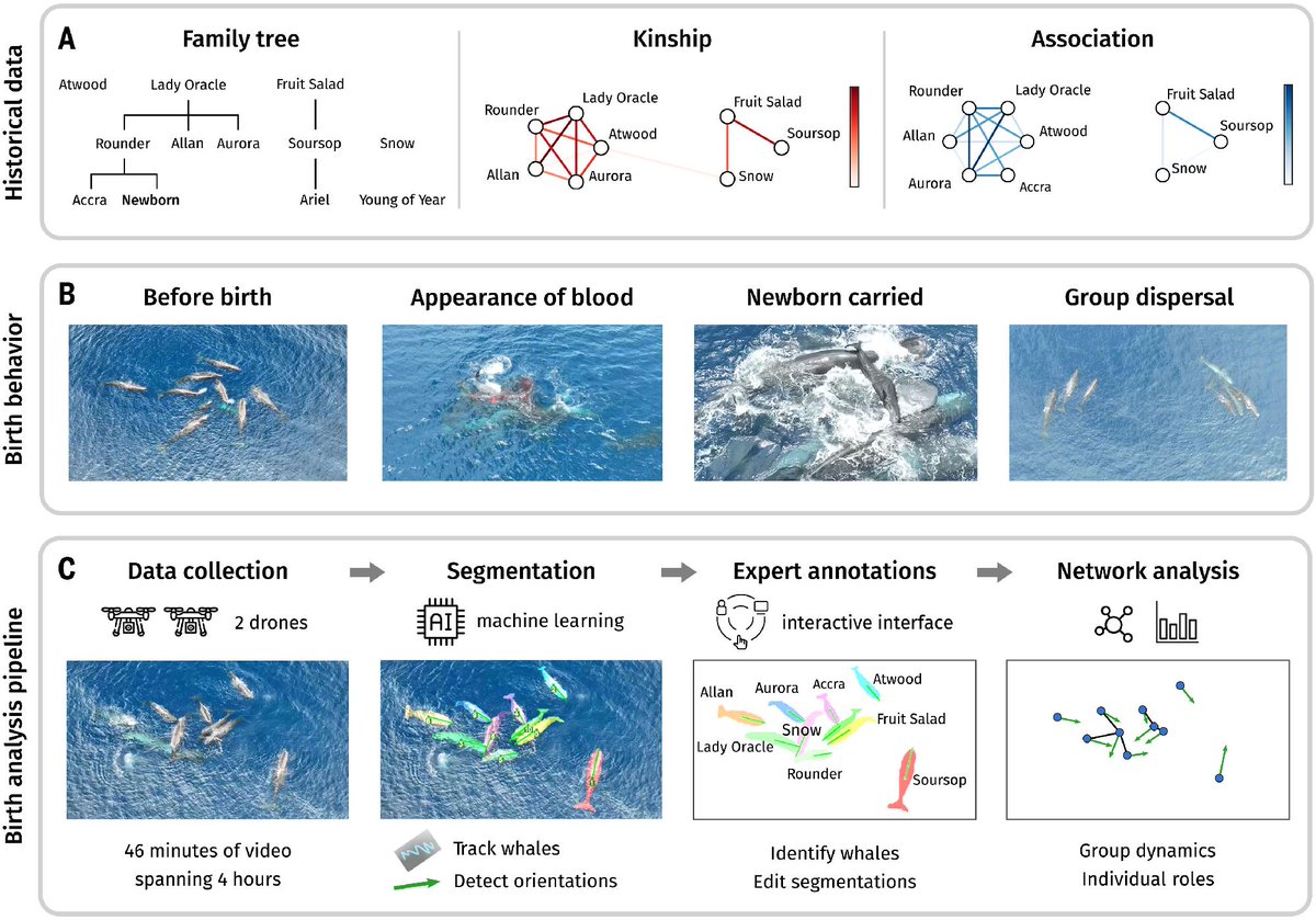 Science Magazine tweet media