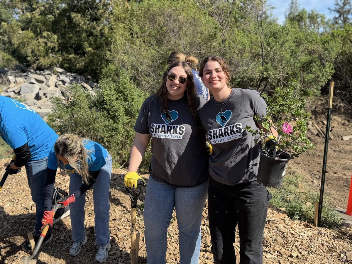 Sharks Community tweet media