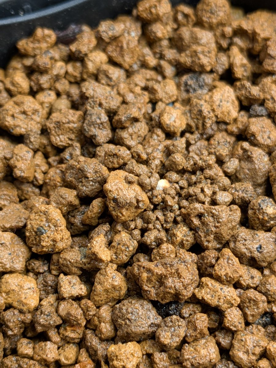 Le Norte tweet media