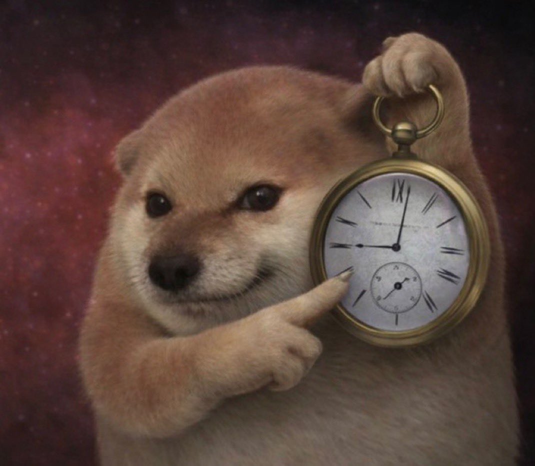 We have to have a serious conversation not only about what the dog is doing, but what he’s about to do