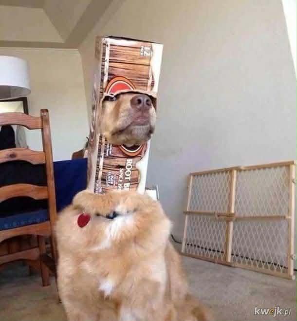 Aga Borysiuk tweet media