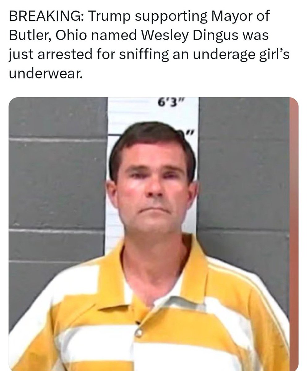 DogsAreBetter tweet media