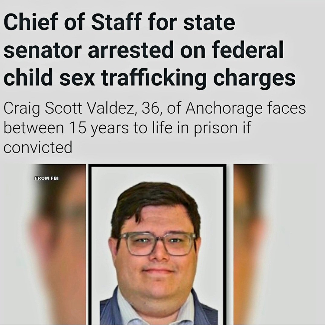 DogsAreBetter tweet media