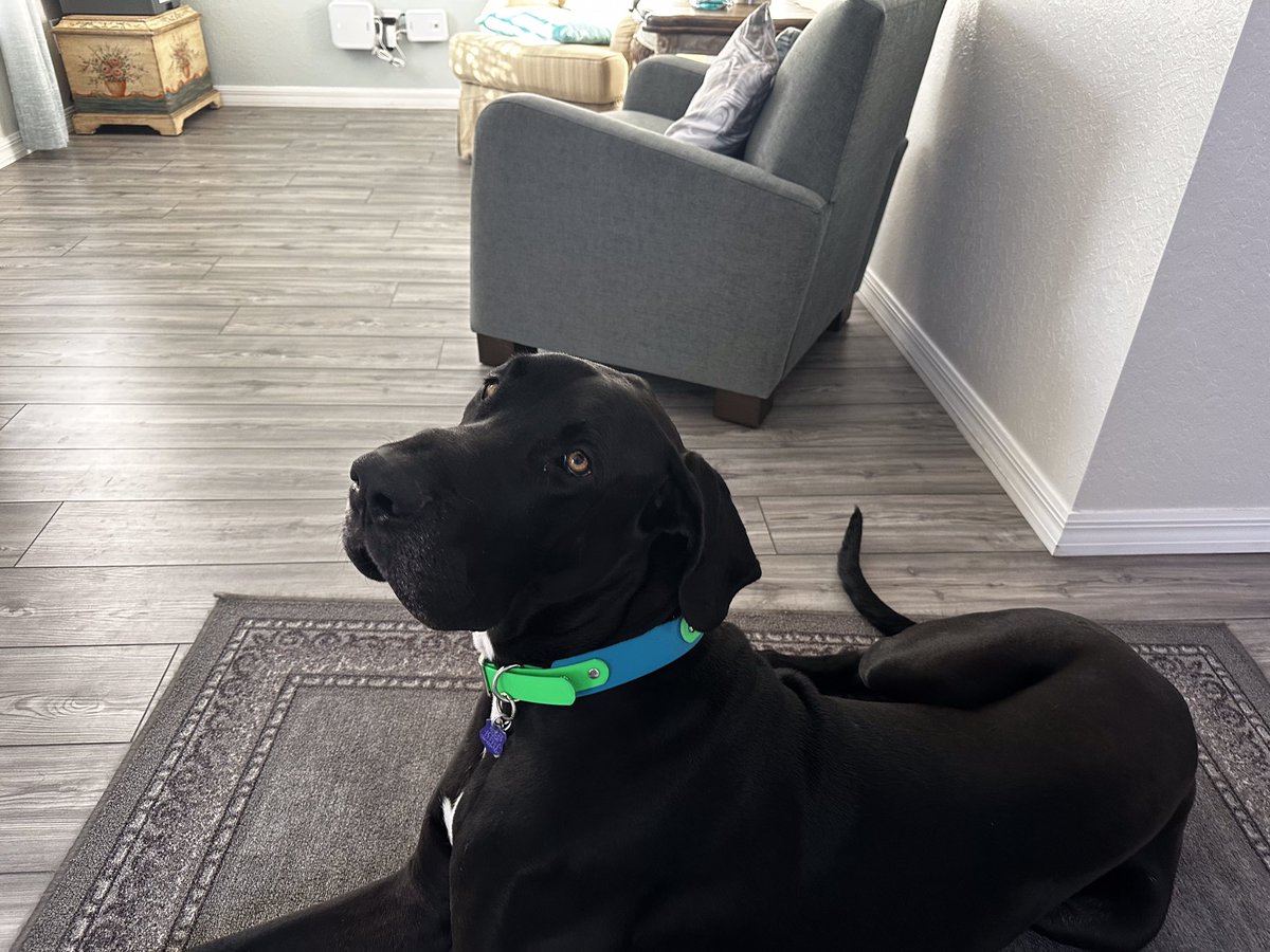 Hugo’s Mom tweet media