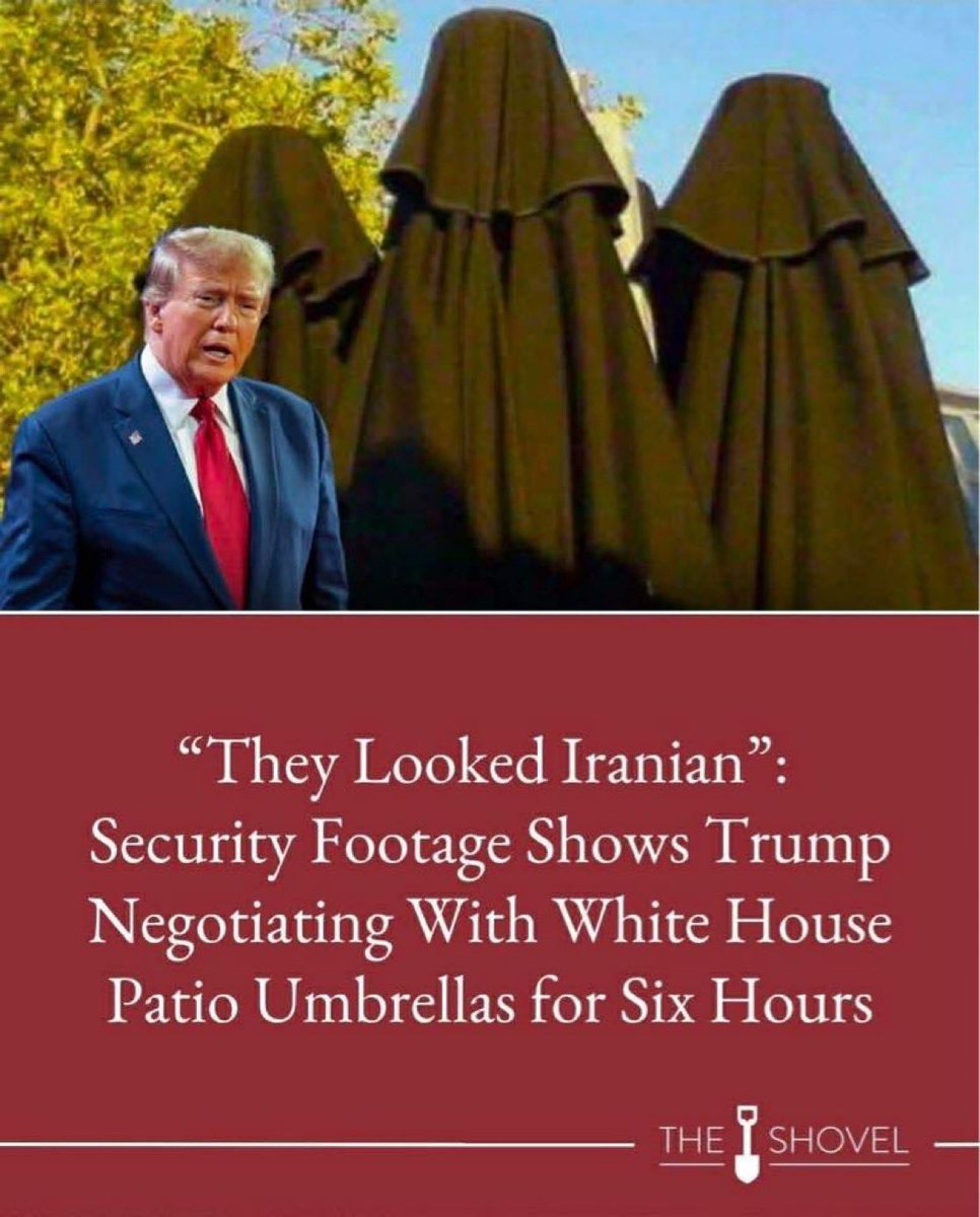 SilverRaccoon tweet media