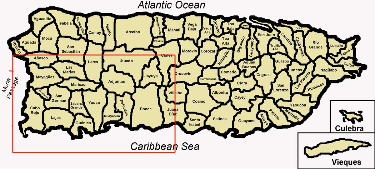 Luis Ja Belalva tweet media