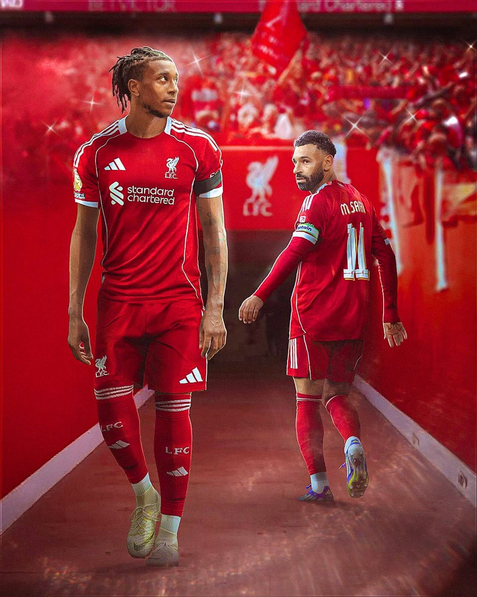 Braden (Fan) 🐦‍🔥 tweet media