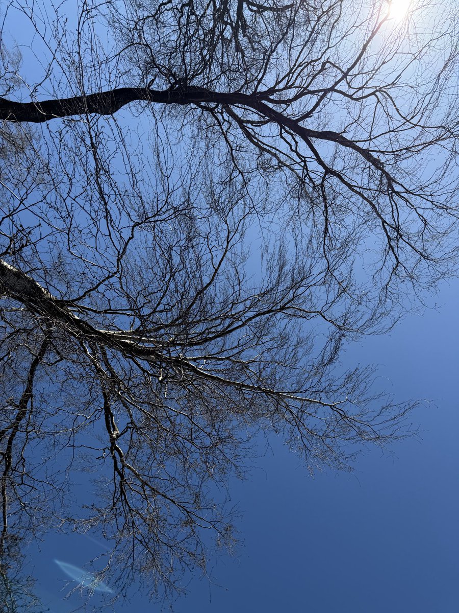 Gro Anita Trøan tweet media