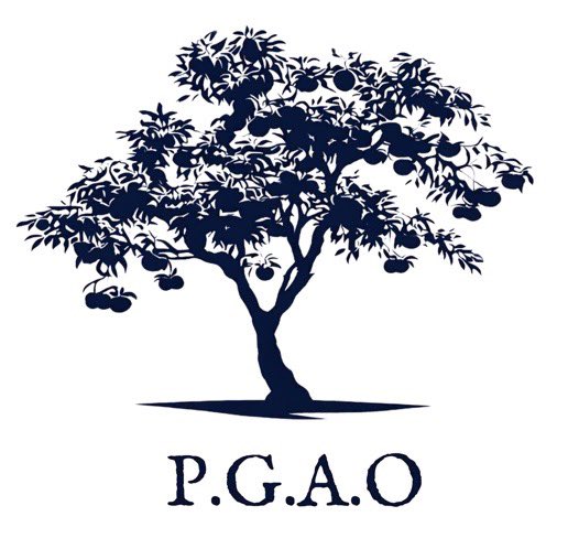 BestBall tweet media