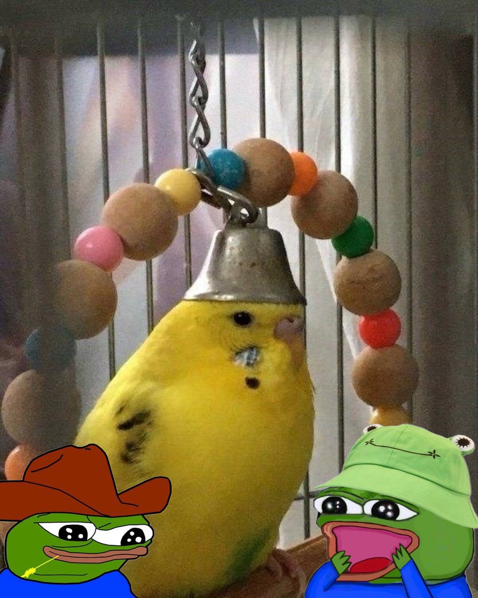 tUrtle🐸staJa tweet media