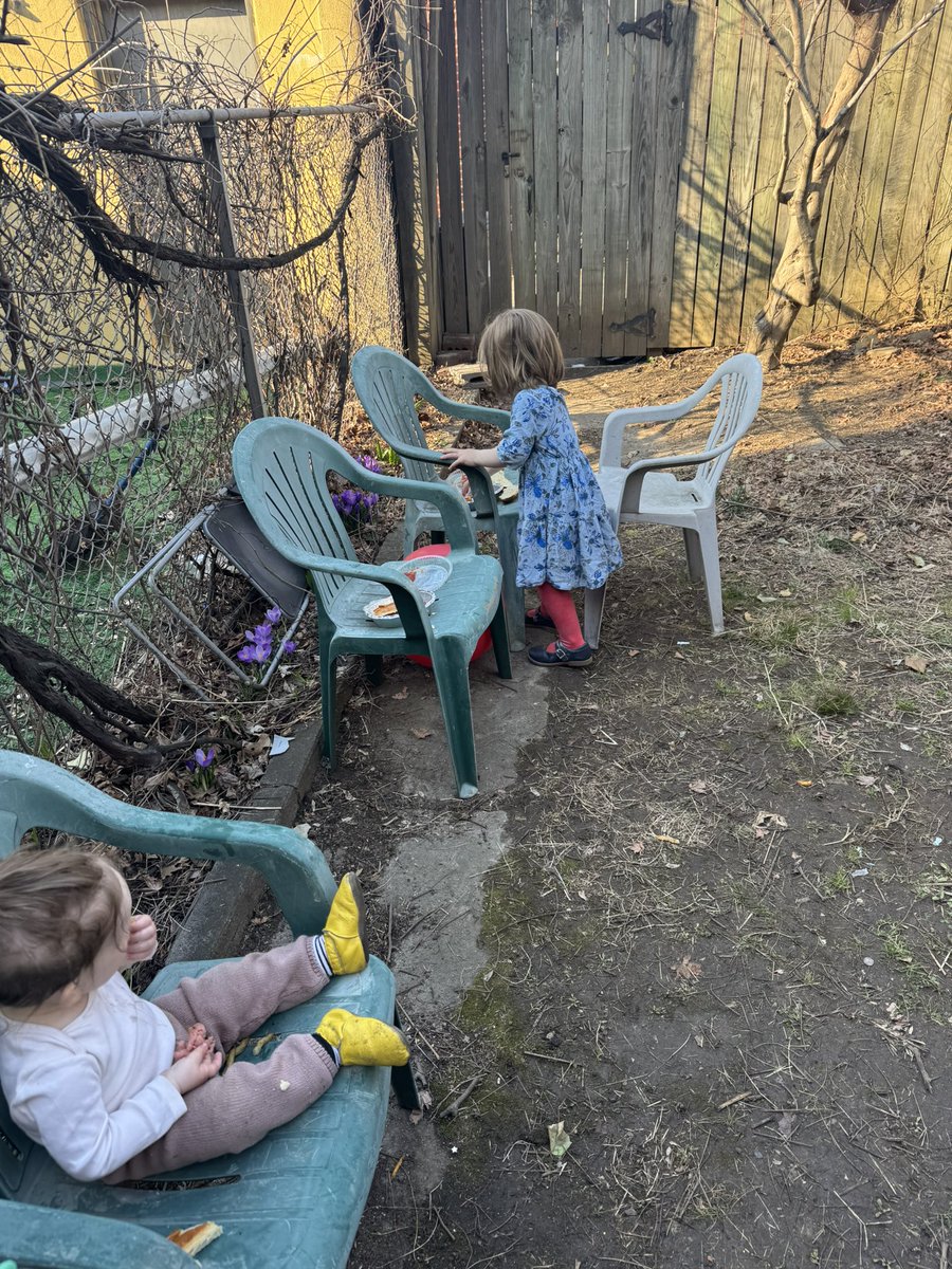 Yaacov Behrman tweet media