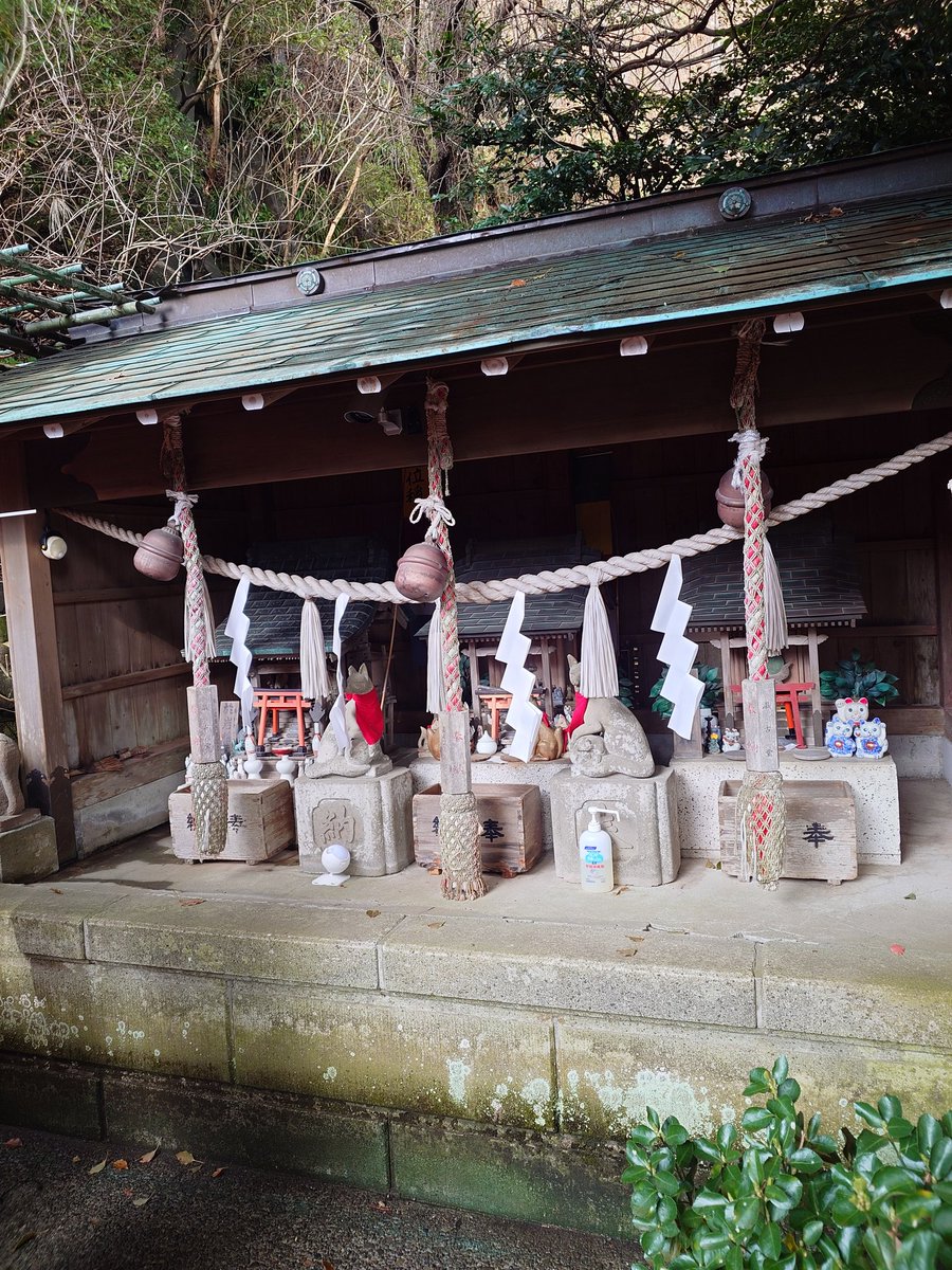 阿知和賢 tweet media