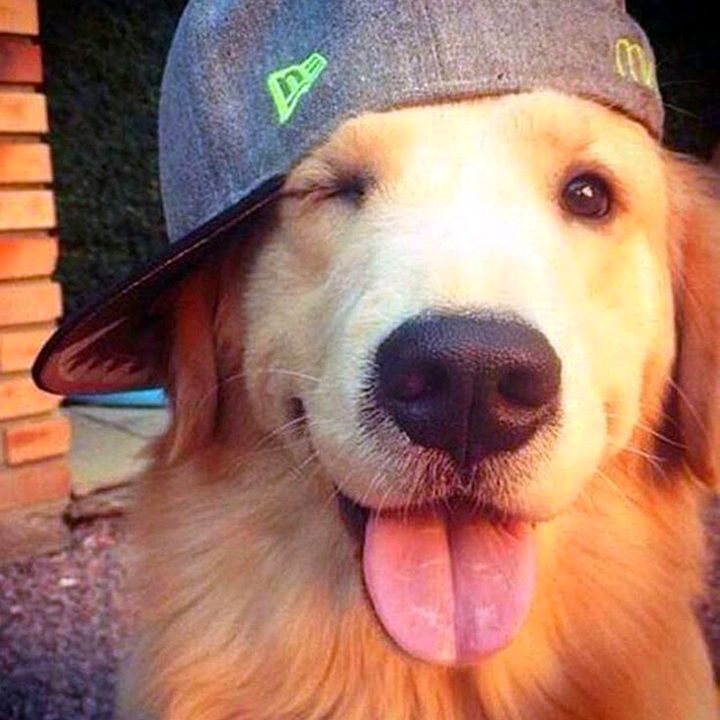 ★kil :3 tweet media