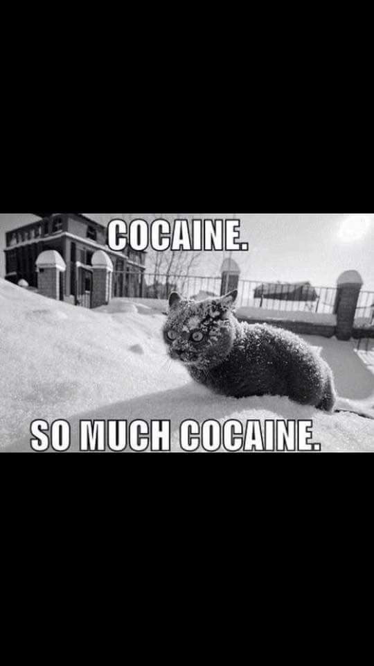 Dios de Hombre tweet media