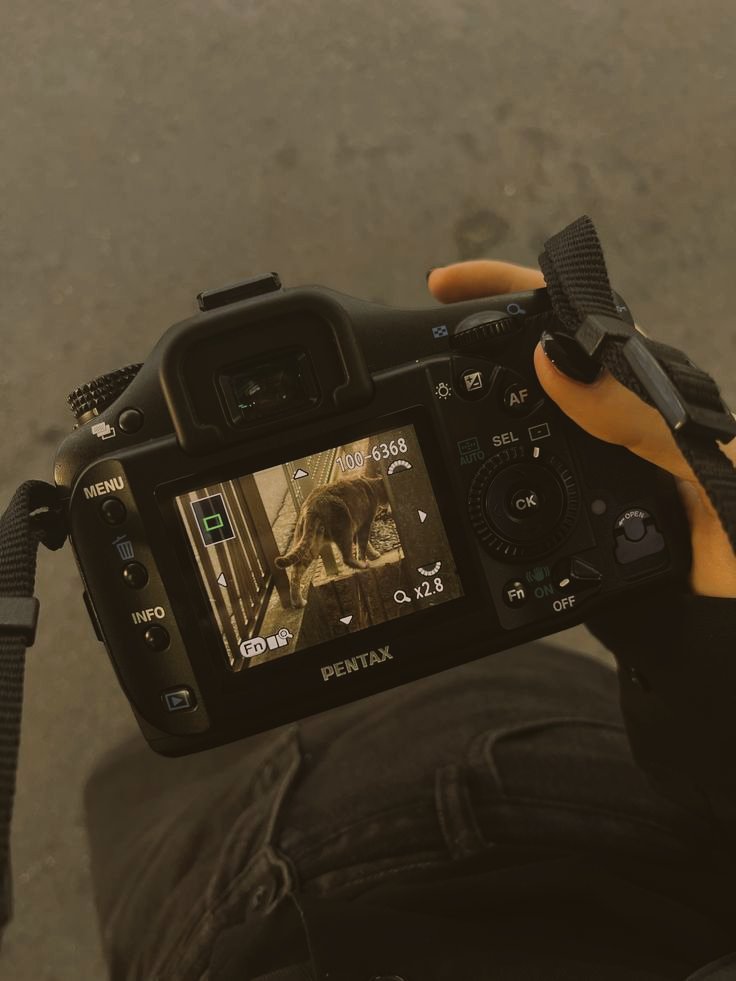 𝐍᥆rᥲ 𝐂ᥲᥣᥣᥱᥒ tweet media