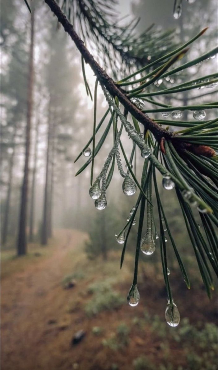 هيا بنت حمد 🇶🇦 tweet media