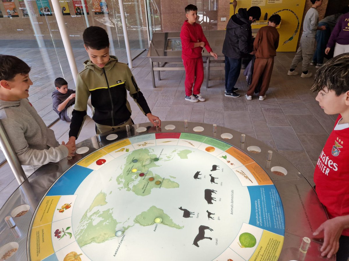 Institut de Sales tweet media