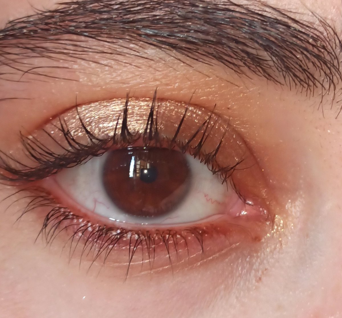 آفنري ✨ tweet media