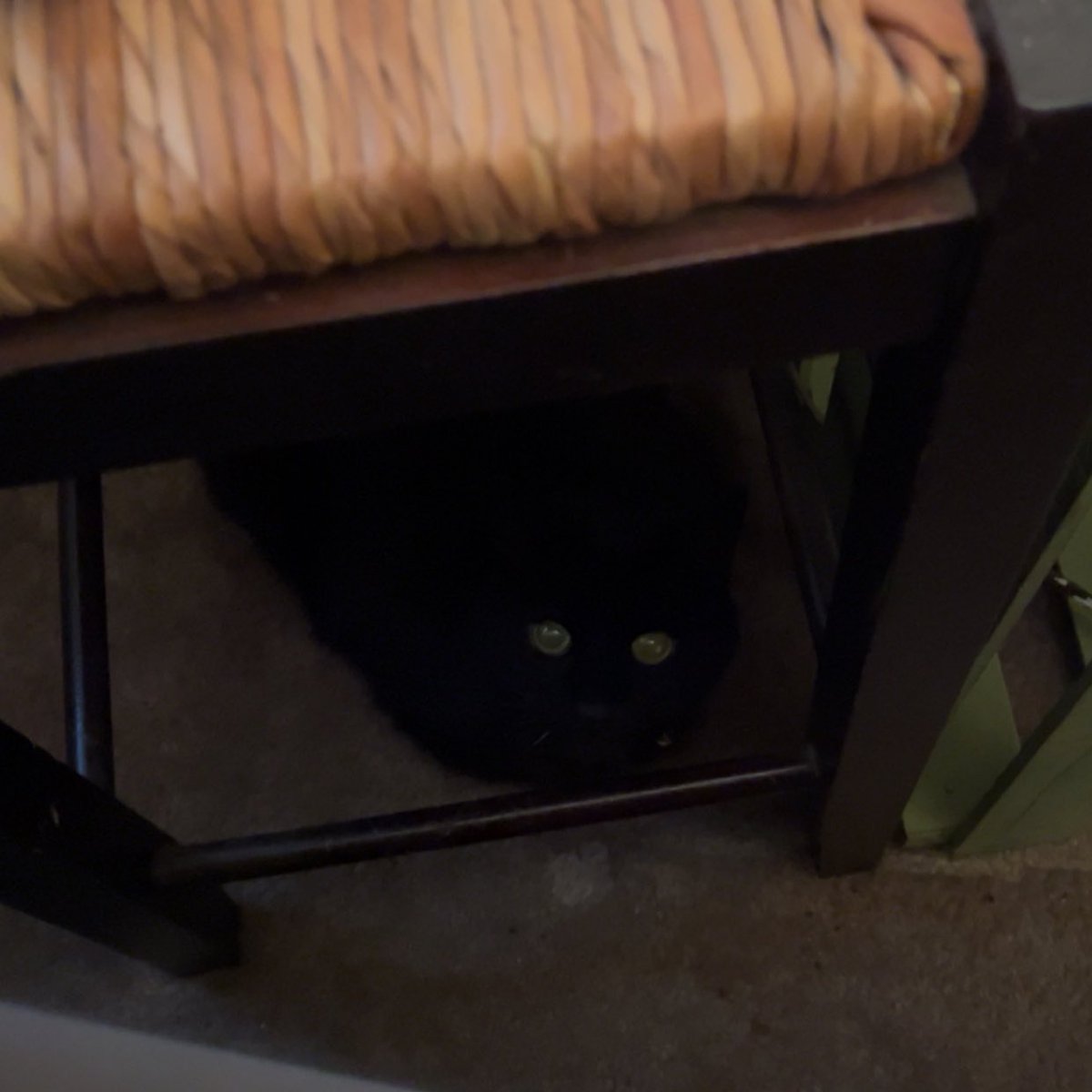 Benadryl Wife tweet media